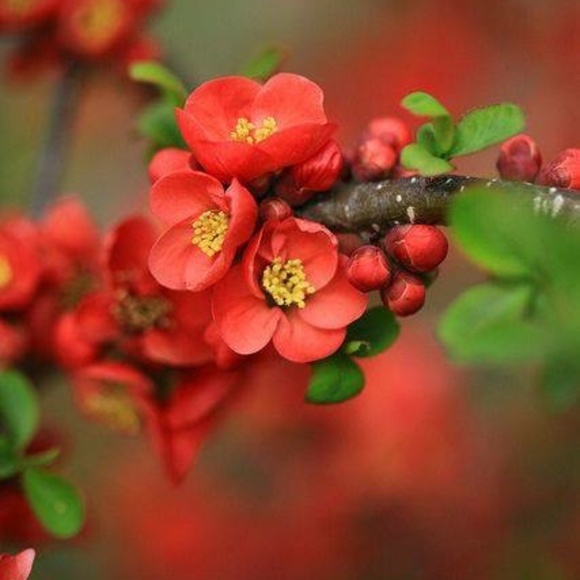 Meet your Posher, Susan - Picture 12 of 15